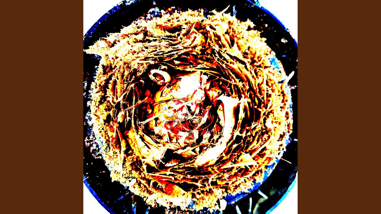 Obejrzyj limb0 w YouTube Obejrzyj limb0 w YouTube