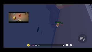 Play Together , Cá Ngừ 127 Cm