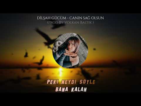 DİLŞAH GÜCÜM TALADRO CANIN SAĞ OLSUN COVER Prod By Volkan Baltık