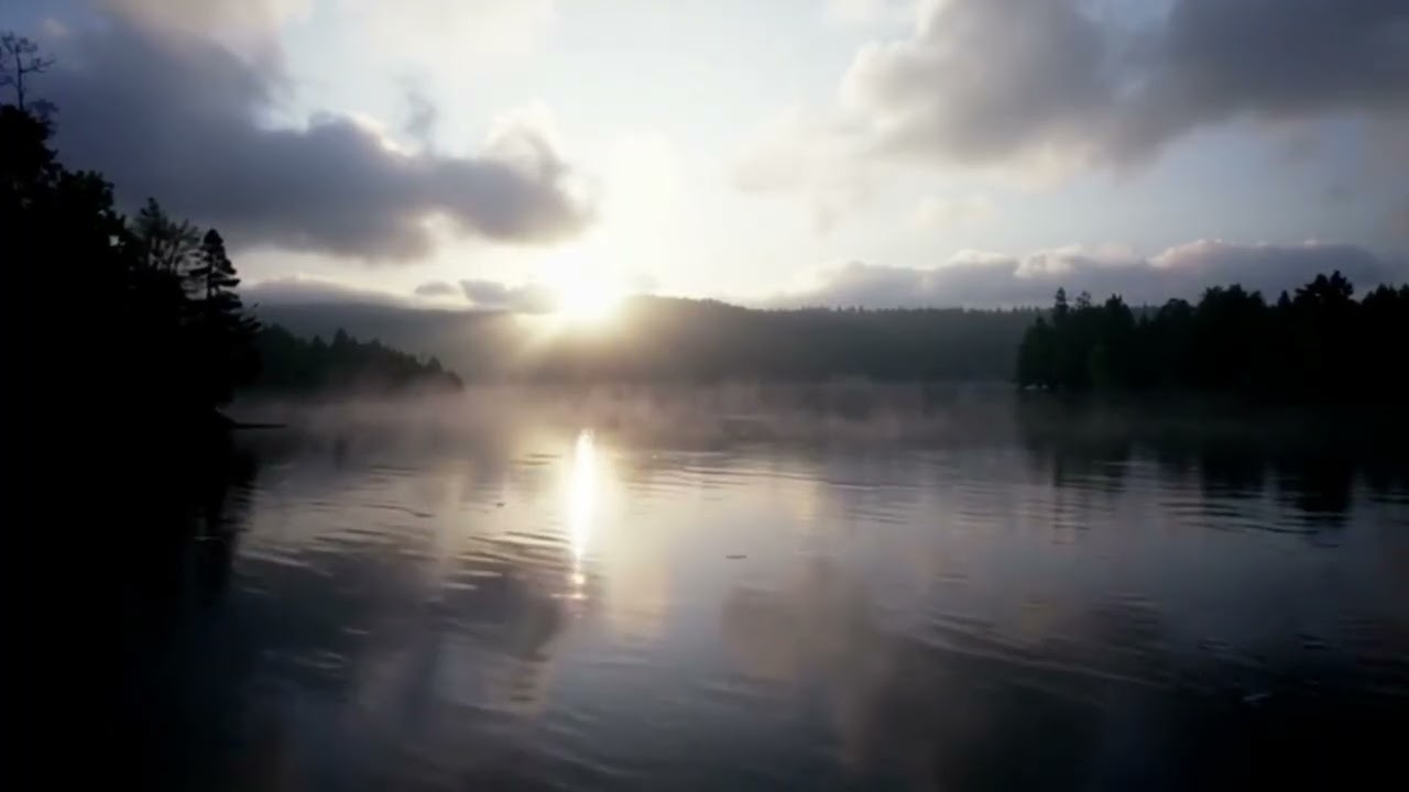 From Fear to Love (Remix Version) – Inspired by "Know Thyself" with Andre Duqum & Dr. John Demartini