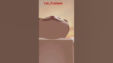 OMG ENCONTRE UN POP CAT