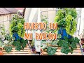 Cómo hacer un HUERTO urbano en el BALCÓN 🥕🥬  ¡FACILÍSIMO!