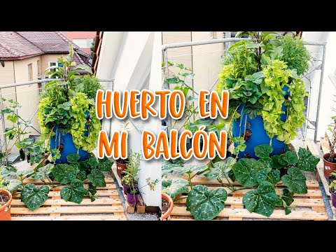 Video: Servilletas de algodón orgánico - Isabella