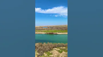 فواد سالم عتب على الشوگ 