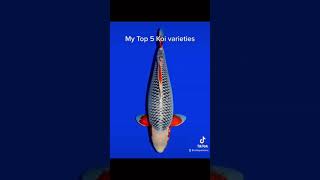 5 varietas #koi favorit saya!
