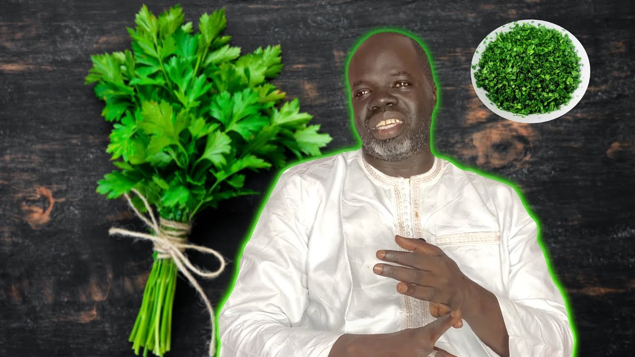 🌳Ndiarignou Persil ( Petroselinum crispum ) - Pr Ousmane Ndiaye - SAMA XALAAT TV