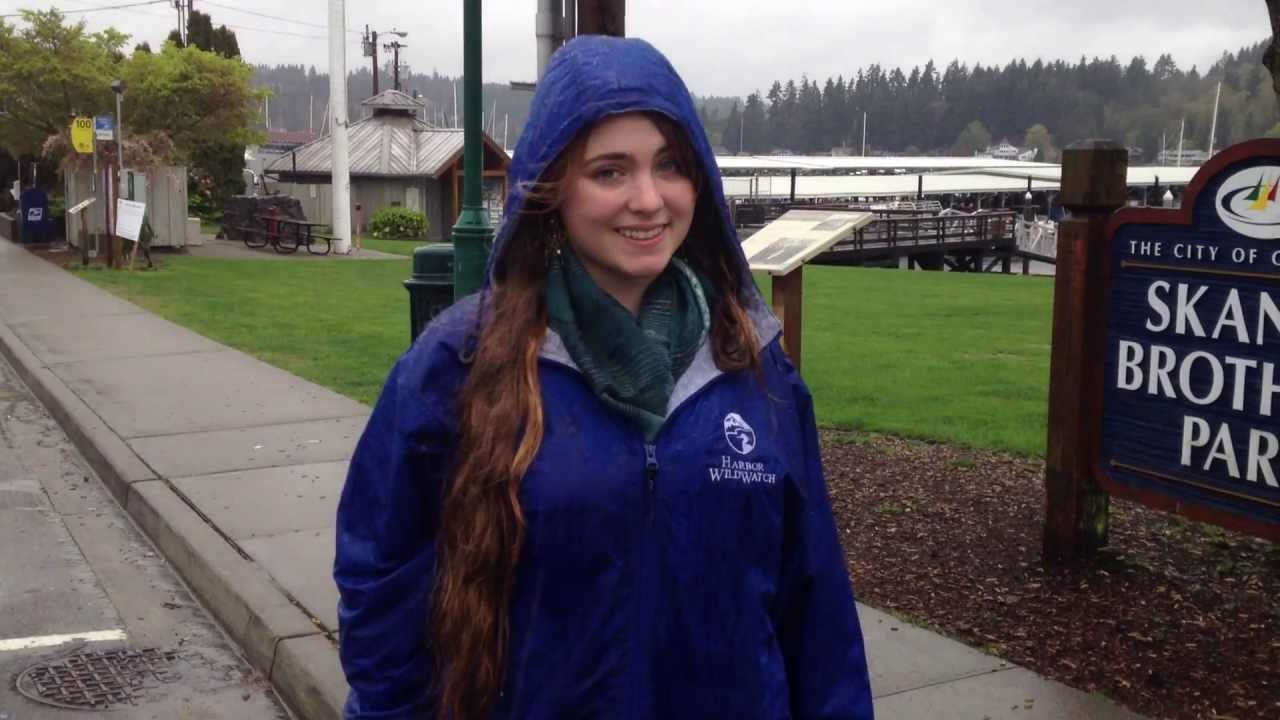 Stewardship clip 2: Reducing Runoff