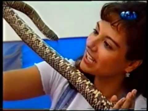 044.Почему у змеи раздвоенный язык