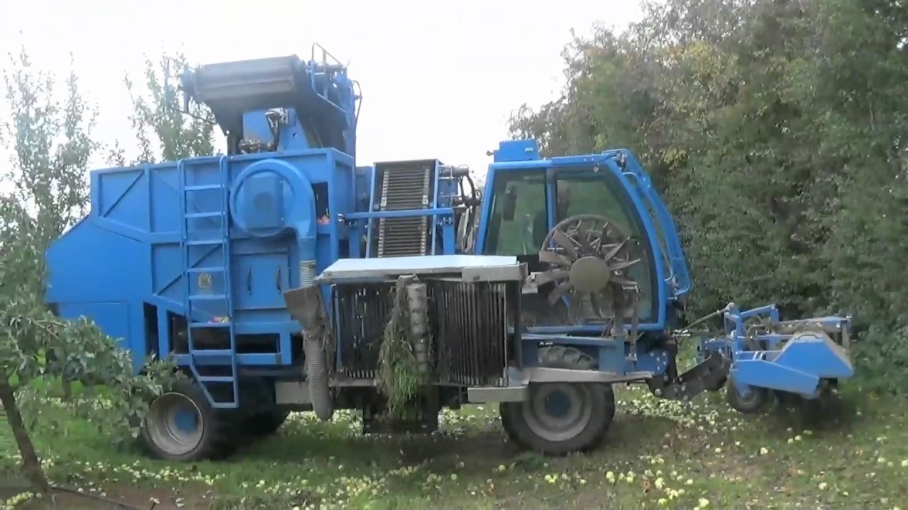 fruitharvesting.com apple harvesting SFM