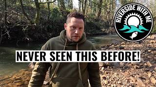 Is this a PYTHON?? A shocking sight on a UK Riverbank