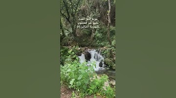سورة الفاتحة #ماهر_المعيقلي #سورة_الفاتحة #قرآن #quran #اكسبلور #explore #youtube #islam #ytshort