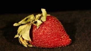 Strawberry Timelapse screenshot 1
