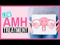Low AMH Treatment - THERE IS HOPE - Success story