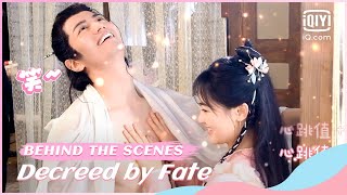 👧BTS: Lu Tingxiao is shy and his heart is pounding | Decreed by Fate | iQiyi Romance