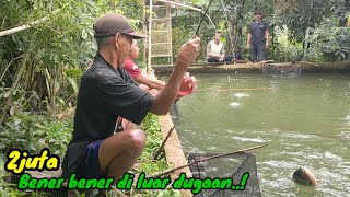 Di luar dugaan..! mancing ikan sebanyak ini cuma 5 orang saja..!?