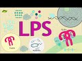 What is lps signaling  know everything  basic science series english