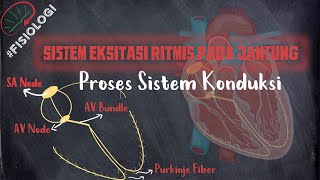 Sistem Eksitasi Ritmis pada Jantung | Proses Sistem Konduksi - SA Node, AV Node, AV Bundle, Purkinje