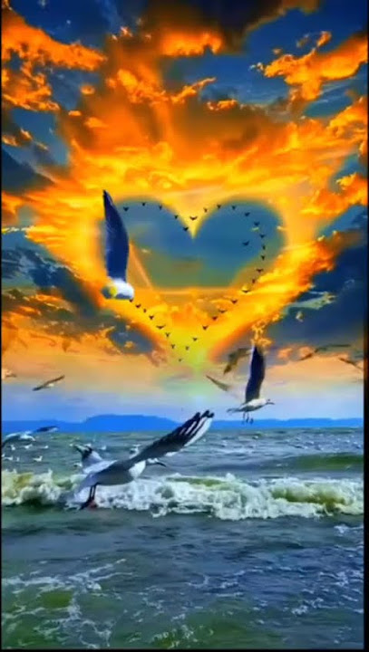 🎵 A sense of beauty - Edgar Tuniyants