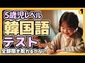 ３カ月勉強したら聞き取れて当然、基礎単語だけで出来た日記で韓国語レベルテストその①