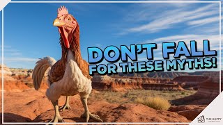 Chicken Fiction or Fact: 7 Widely Believed Myths Debunked