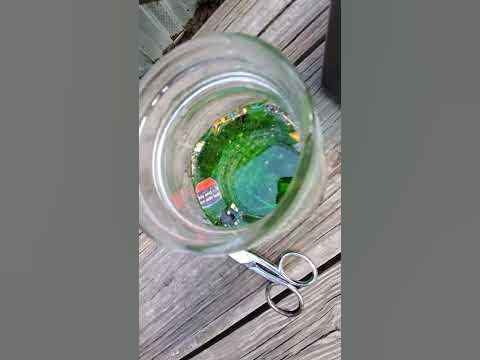 How to extract gold from circuit boards with stuff you have !!!! - YouTube