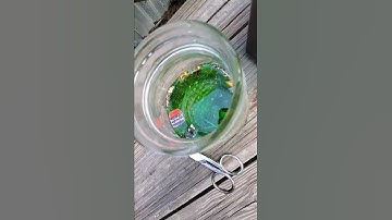 How to extract gold from circuit boards with stuff you have !!!!