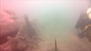HMS M2