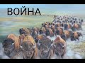 Война (Алёна Далида)