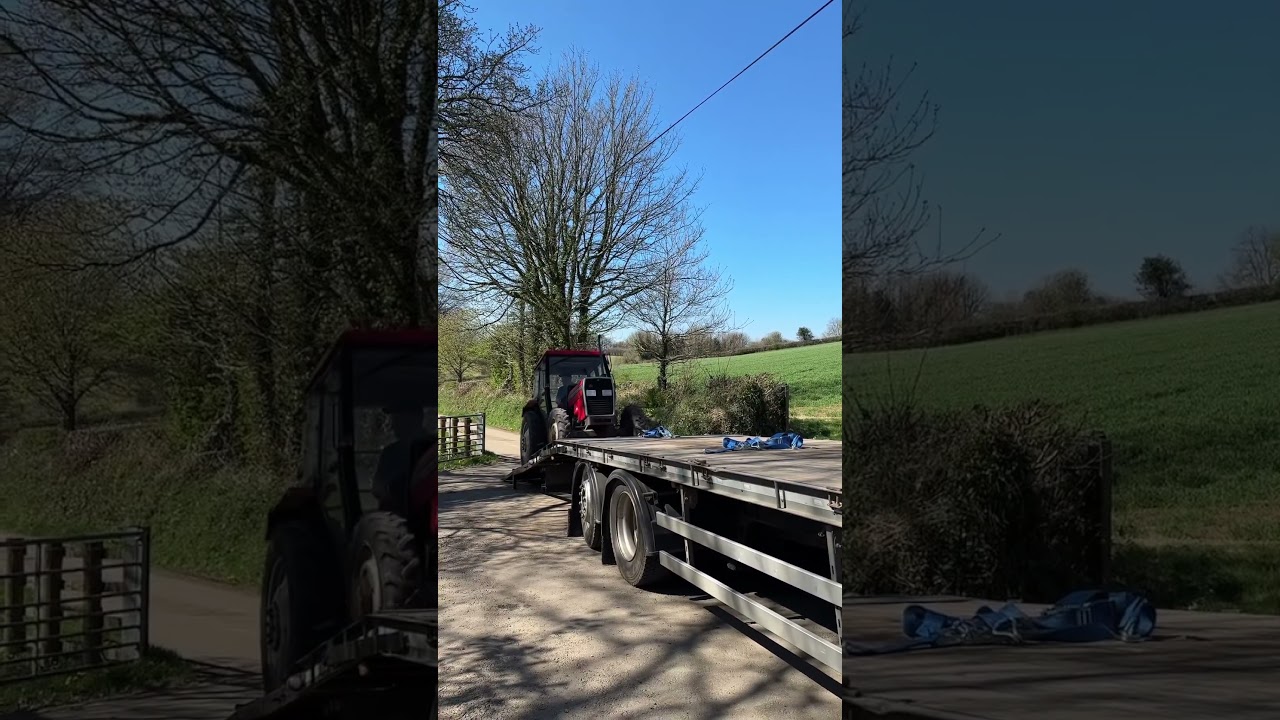 Unloading this rather rare Massey Ferguson 355 