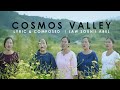 Cosmos valley  poumai song