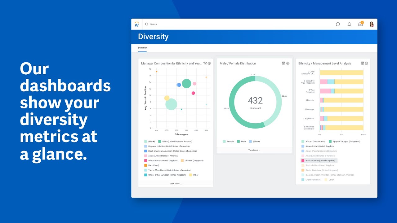 Build Belonging and Diversity | Insights