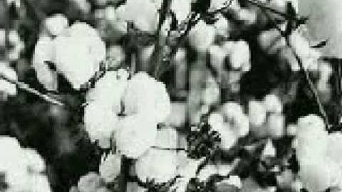 When The Saint Goes Marchin In - Tres Hombres