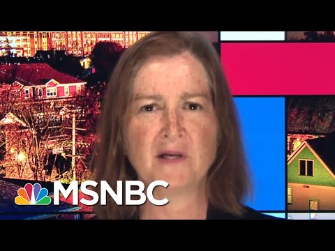 Trump, William Barr Insider Put In Charge Of DOJ Criminal Division | Rachel Maddow | MSNBC