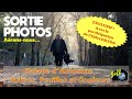 FEUILLES, ARBRES &amp; COULEURS, C&#39;EST L&#39;AUTOMNE ! - Sortie photos - Episode n°525