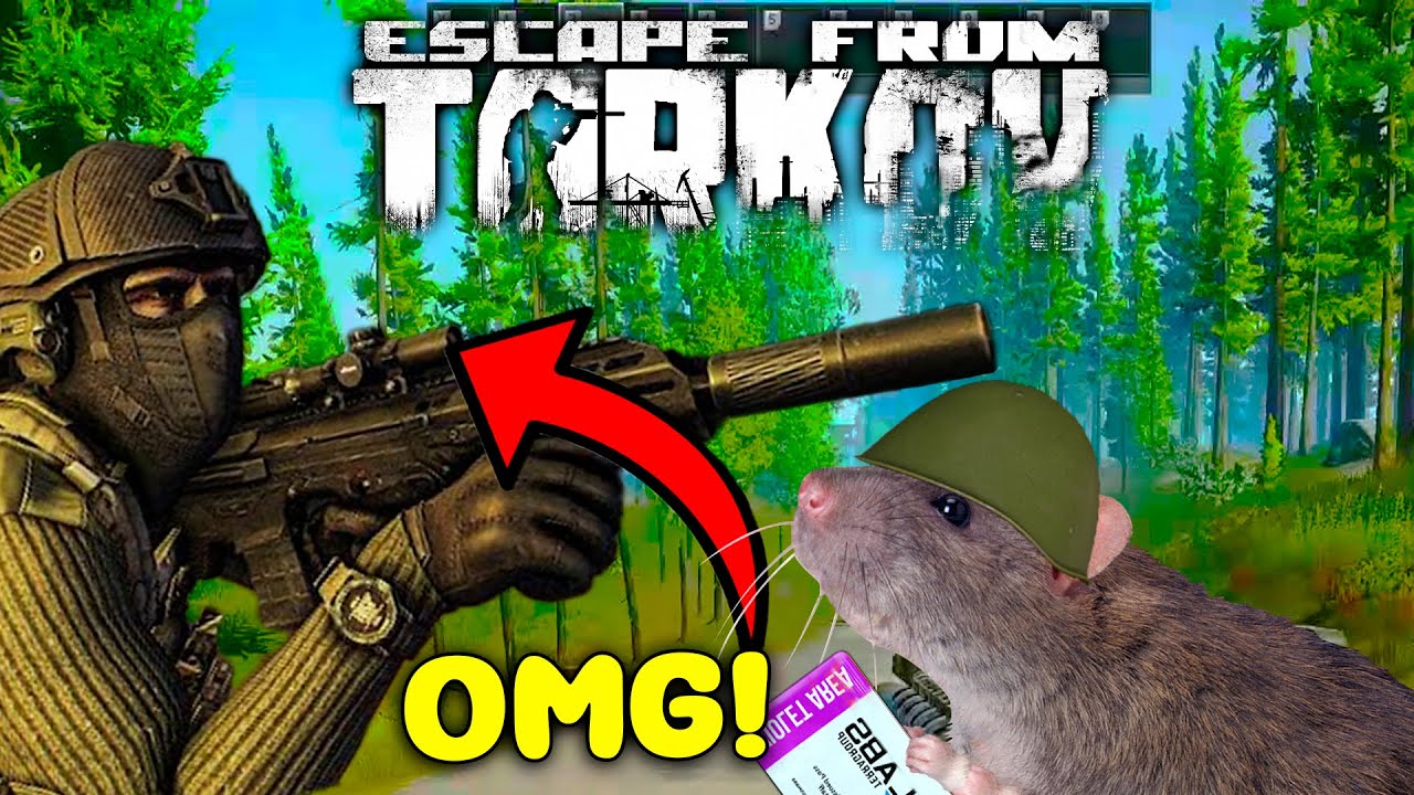 *WIPE* Escape from Tarkov - Best Highlights & EFT WTF, Funny Moments ...