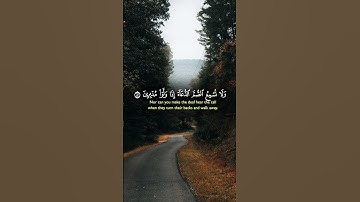 تلاوة خاشعة للشيخ ياسر الدوسري #قرآن #قران_كريم #المصحف #راحة_نفسية #quran