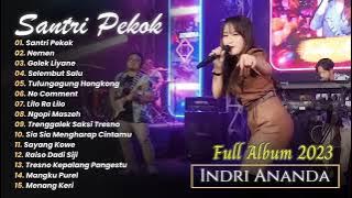 Lagu Santri Pekok - Indri Ananda - Tobat kapok lombok kadang lurus kadang menggok | FULL ALBUM 2023