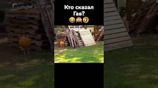 Раз 10 смотрел и смеялся! 😂😂😂