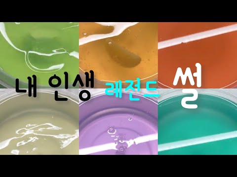 내 인생 레전드 썰 시리즈액괴 대규모 시리즈 액괴시리즈 대시액 시액 액괴실즈 대규모 시리즈 대규모 #시리즈액괴 #시리즈#시액#시리즈대규모#액괴#슬라임#리즘