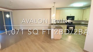 Avalon Irvine - Phase I 1,071 Sq Ft Two Bedroom - Two Bath Apartment (B3)