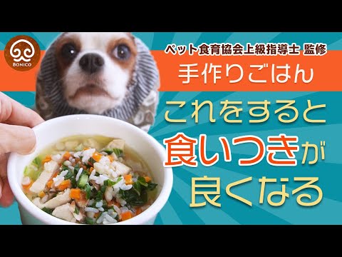 【犬の手作りご飯】ごはんの食いつきが良くなる「４つのコツ」をお伝えします！