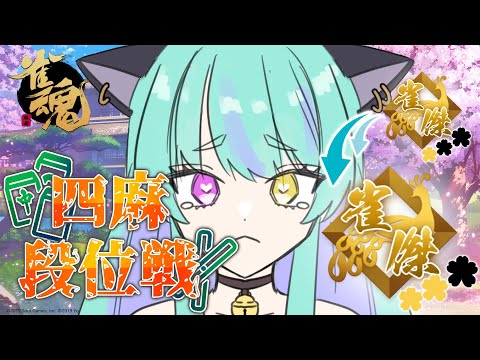 【#麻雀 #雀魂 #じゃんたま 】金の間！雀豪目指して段位戦！【#ウィスティリアリーフ  #ライブストリーフ 】