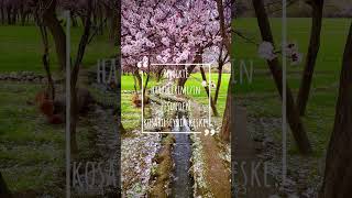 Hayallerimizi Beraber Kurdukama Kimse Tutmadı Elimden Koşarken.