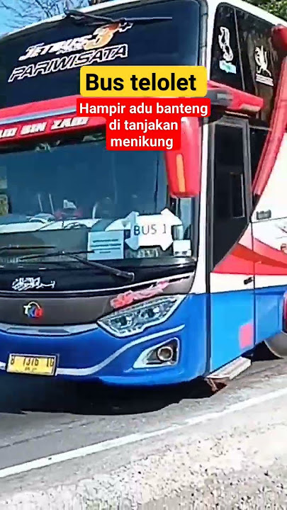 bus telolet hampir adu banteng di tanjakan menikung #truck #bus @aziswijayaofficial