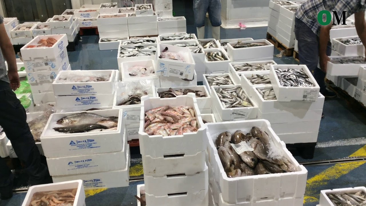 Así es una jornada en Pescadería de Mercamálaga