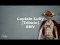 Luffy [amv] (destiny)