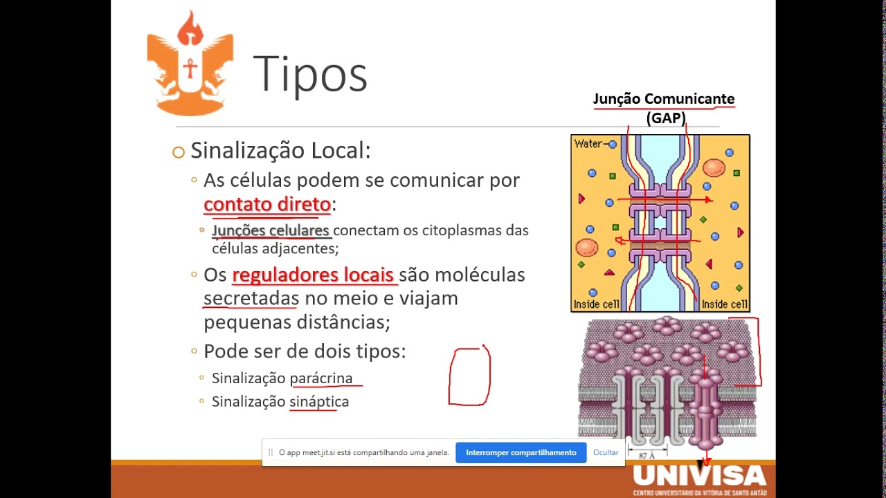 Comunicação Celular Por Meio De Sinais Quimicos