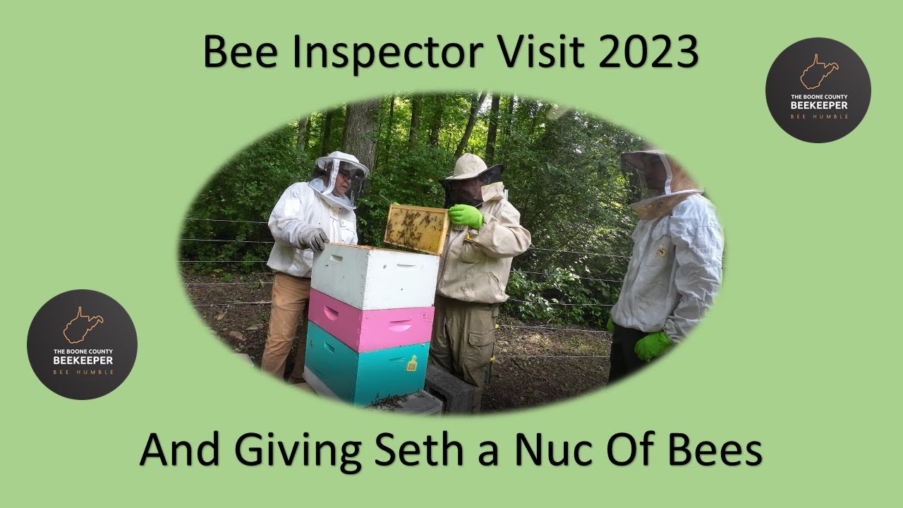 Bee Inspector Visit And Seth's Bees - YouTube