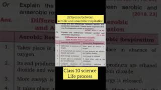 difference between aerobic and anaerobic respiration#yt