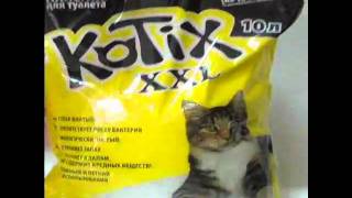 Наполнитель для кошачьих туалетов Kotix (Котикс) - 10 л. Наполнитель для кошачьих туалетов Kotix (Котикс) - 10 л.